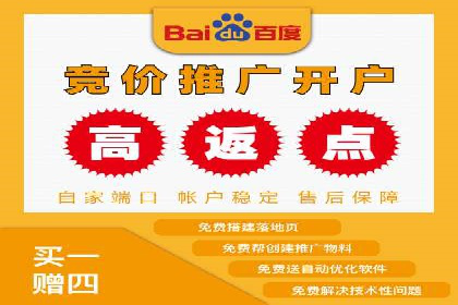 知名SEM服务公司成功案例分享